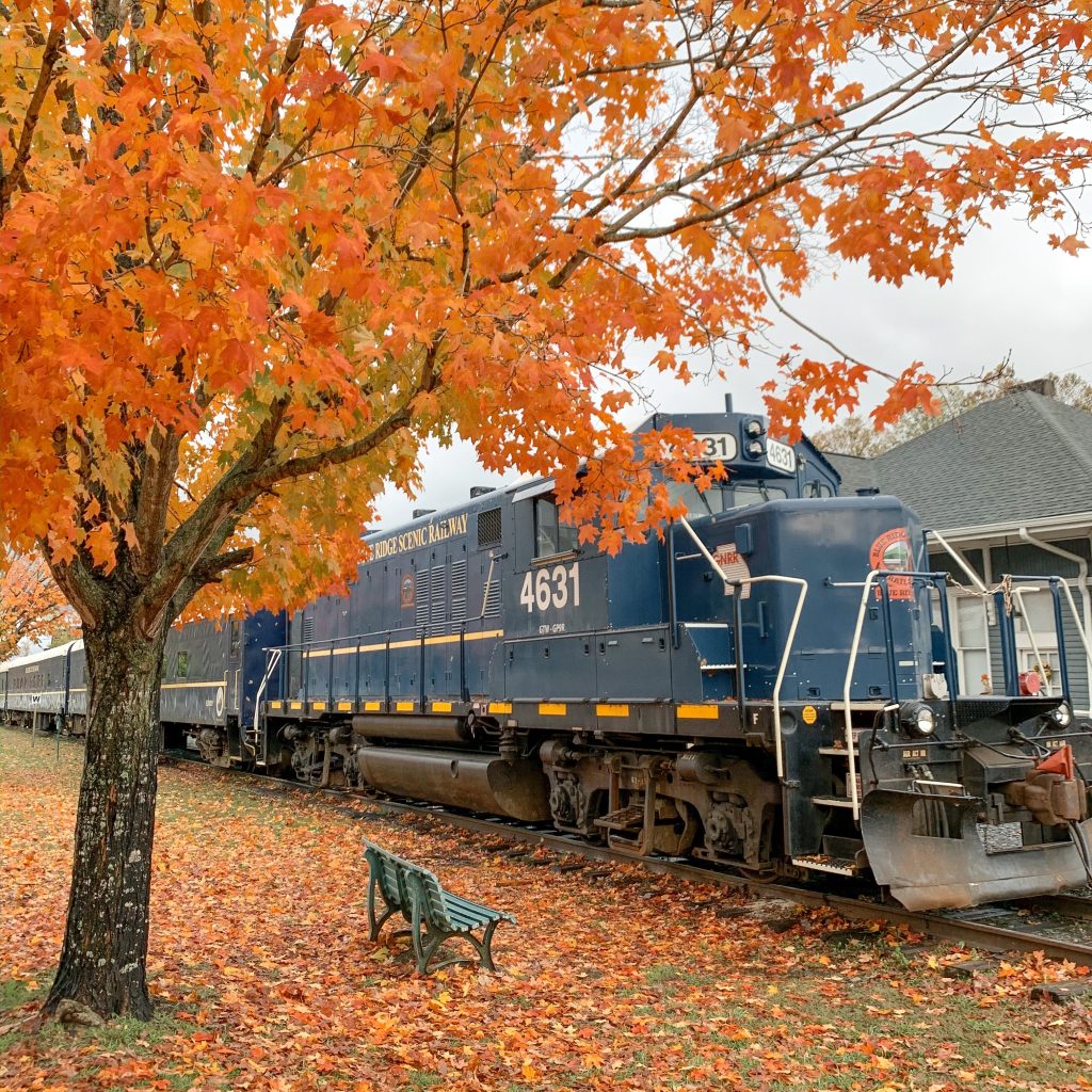 blue ridge train